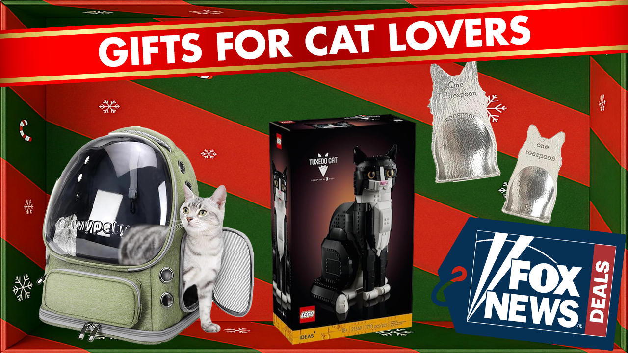 14 ideal gifts every cat owner will appreciate