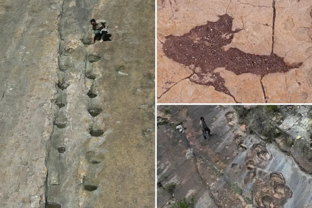 16,000 ancient footprints in central Bolivia show how dinosaurs acted