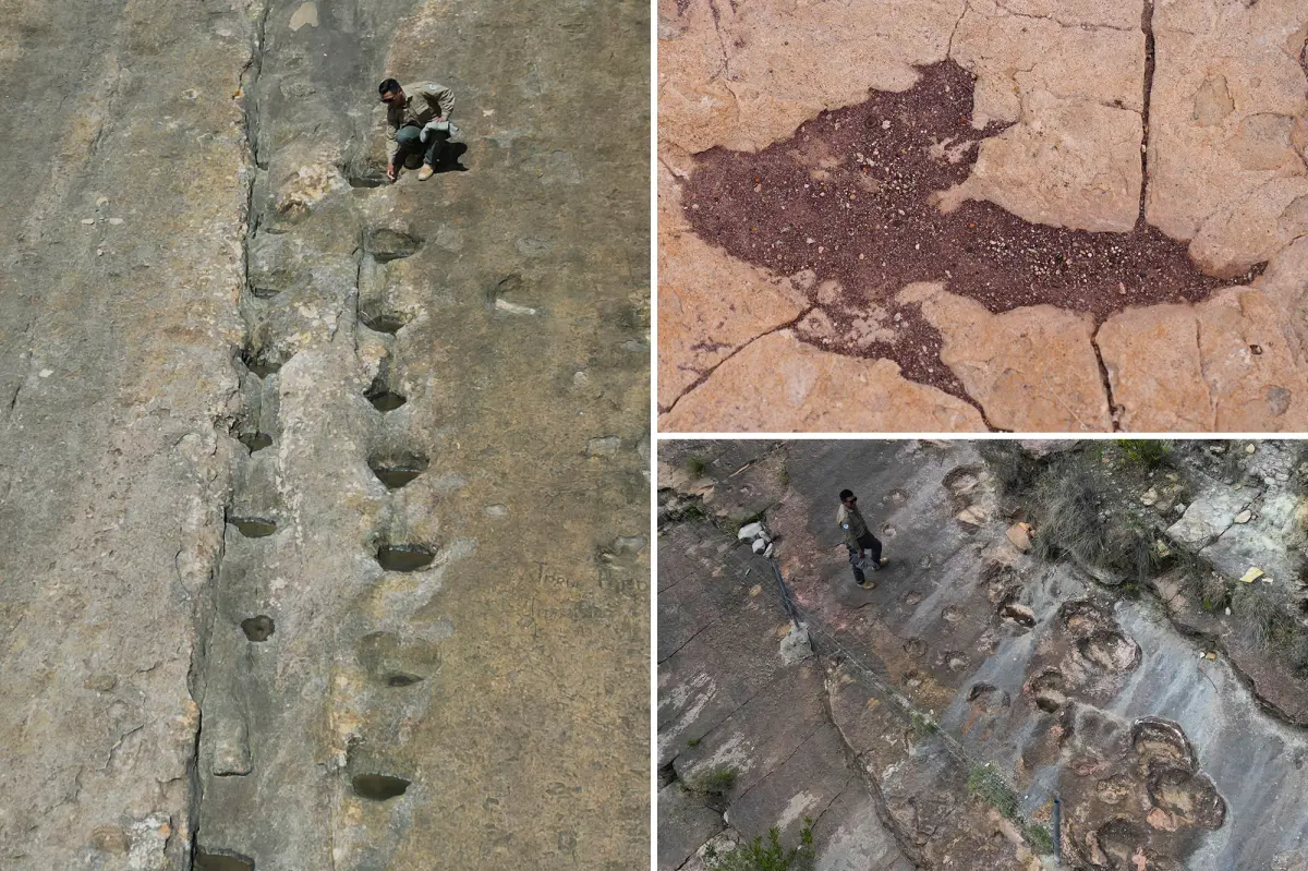 16,000 ancient footprints in central Bolivia show how dinosaurs acted