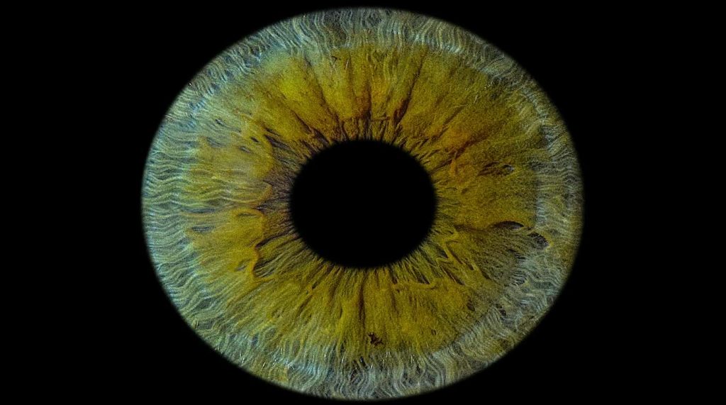 3D Printed, Lab-Grown Tissue Used in First Human Cornea Transplant Restores Vision in a Major Breakthrough for Millions of Blind People