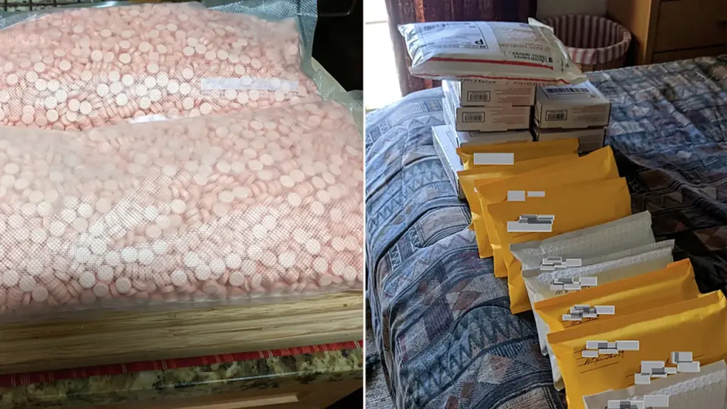 74-year-old Texas woman with a nursing degree found guilty in fatal fentanyl plot