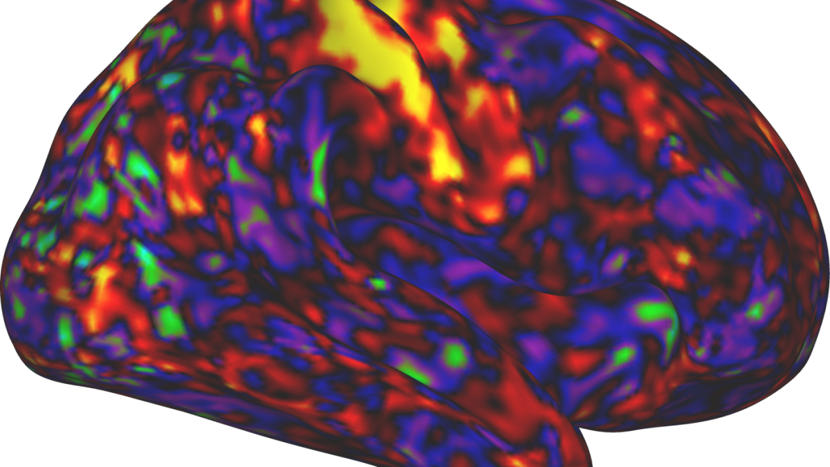 ADHD medications might enhance arousal more than focus.