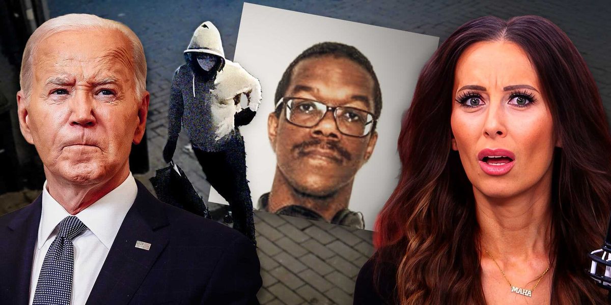 Accused pipe bomber apprehended, along with a background as a left-wing activist