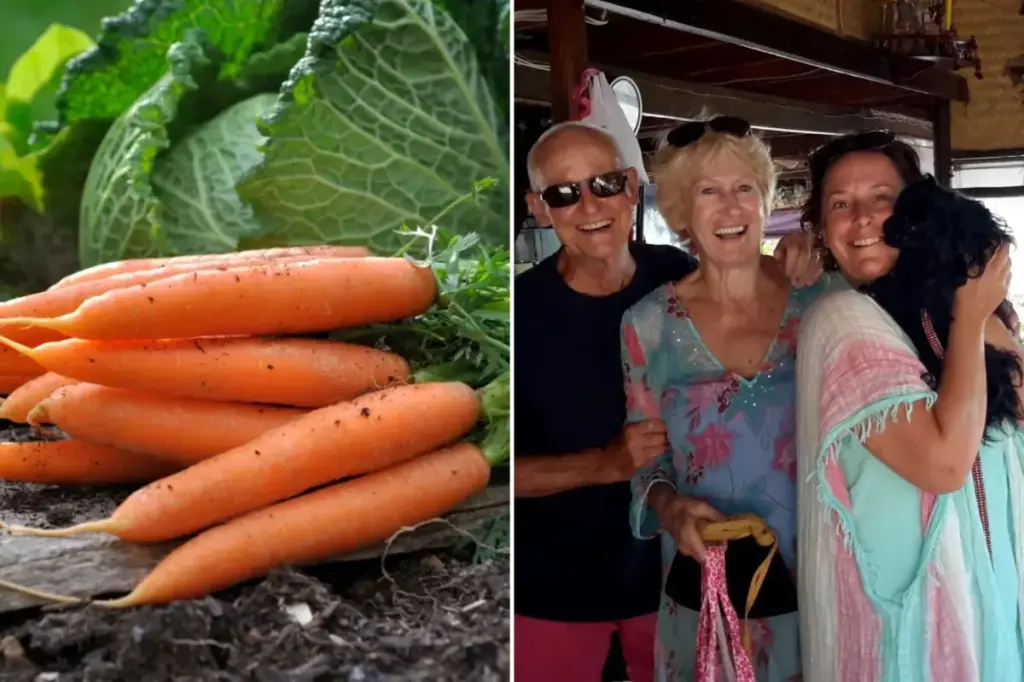 Adult-themed carrot brings laughter to family Christmas dinner
