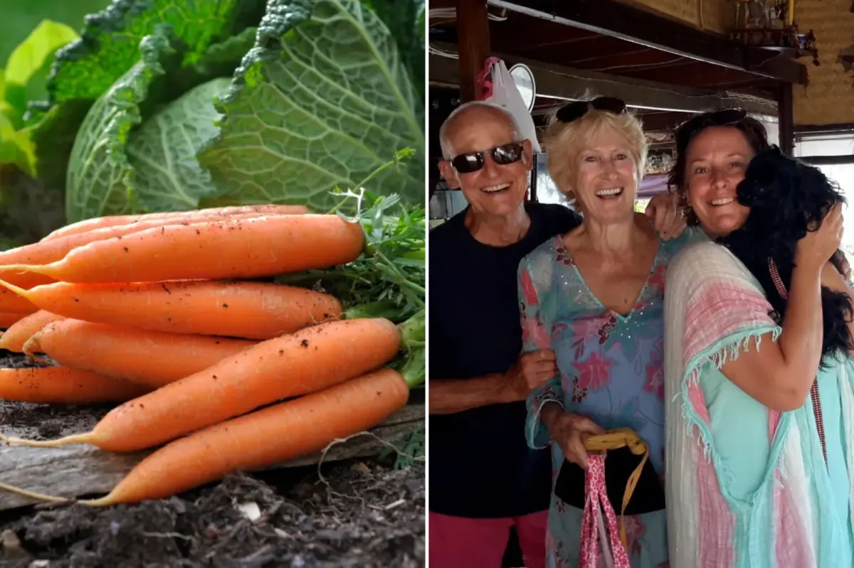 Adult-themed carrot brings laughter to family Christmas dinner