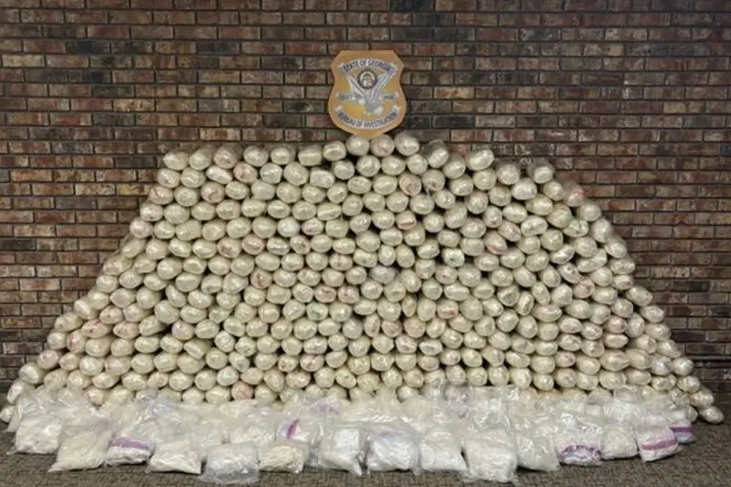 Almost 1,600 pounds of meth discovered concealed in blackberries sent to Georgia