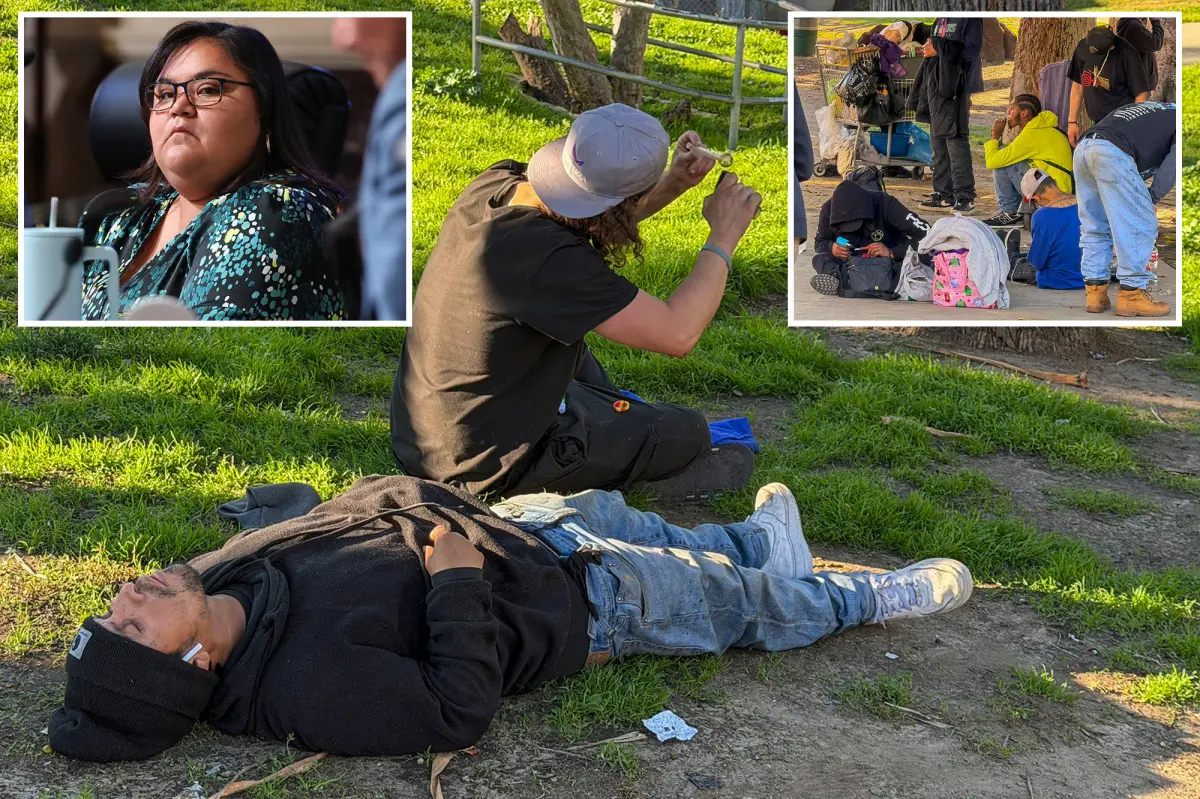 An LA councilwoman made MacArthur Park the center of the fentanyl crisis in the city.