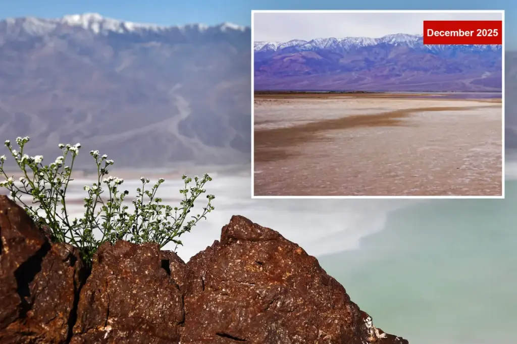 Ancient Lake Manly in Death Valley comes back to life after exceptional rainfall