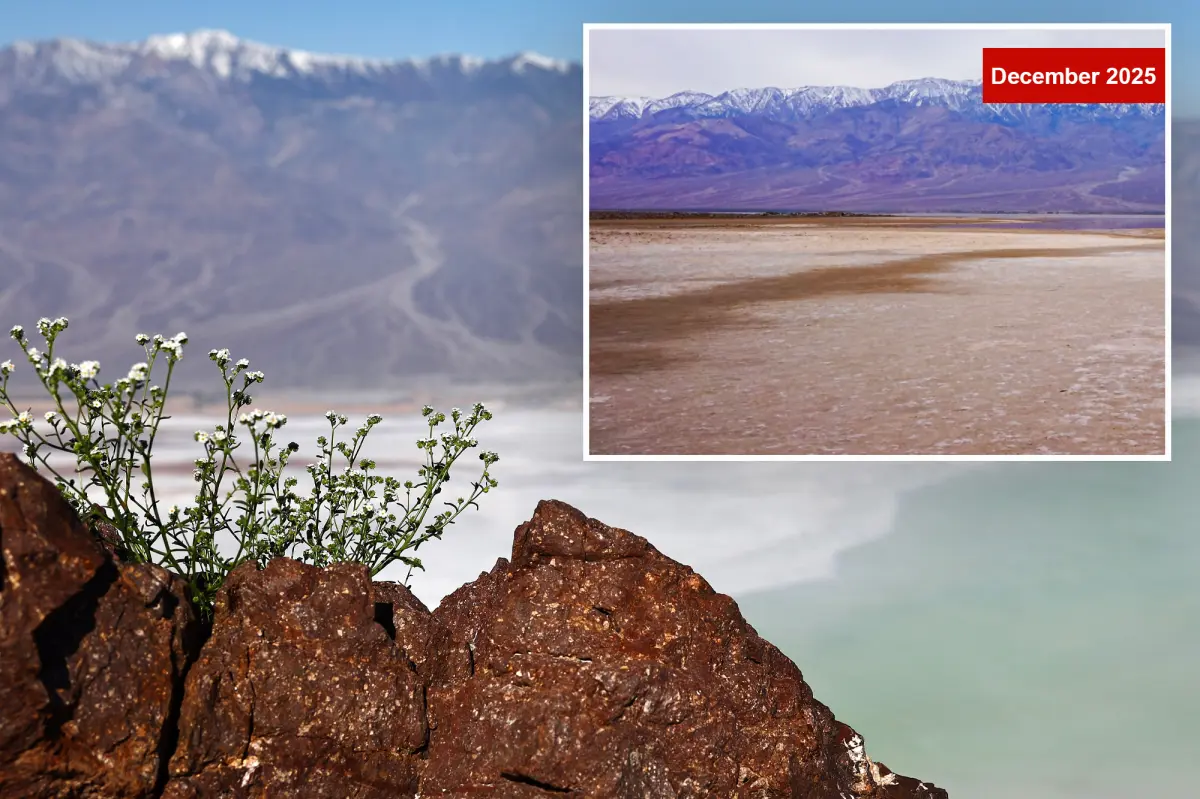 Ancient Lake Manly in Death Valley comes back to life after exceptional rainfall