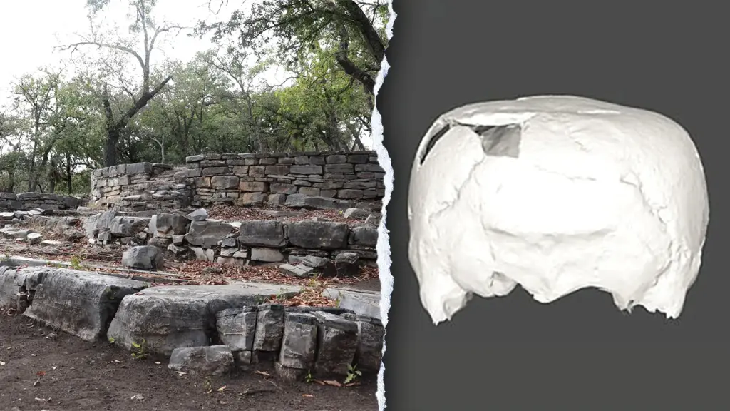 Archaeologists uncover 1,400-year-old cube-shaped skull in Mexico