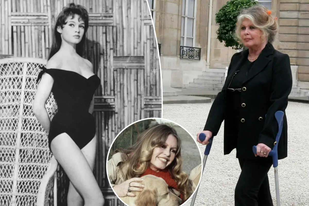 Brigitte Bardot, the 1960s icon of sexuality who became an animal rights advocate, has passed away at 91.