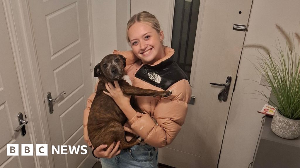 Calls for Meningitis B vaccinations after the death of an 18-year-old student from Pontypool