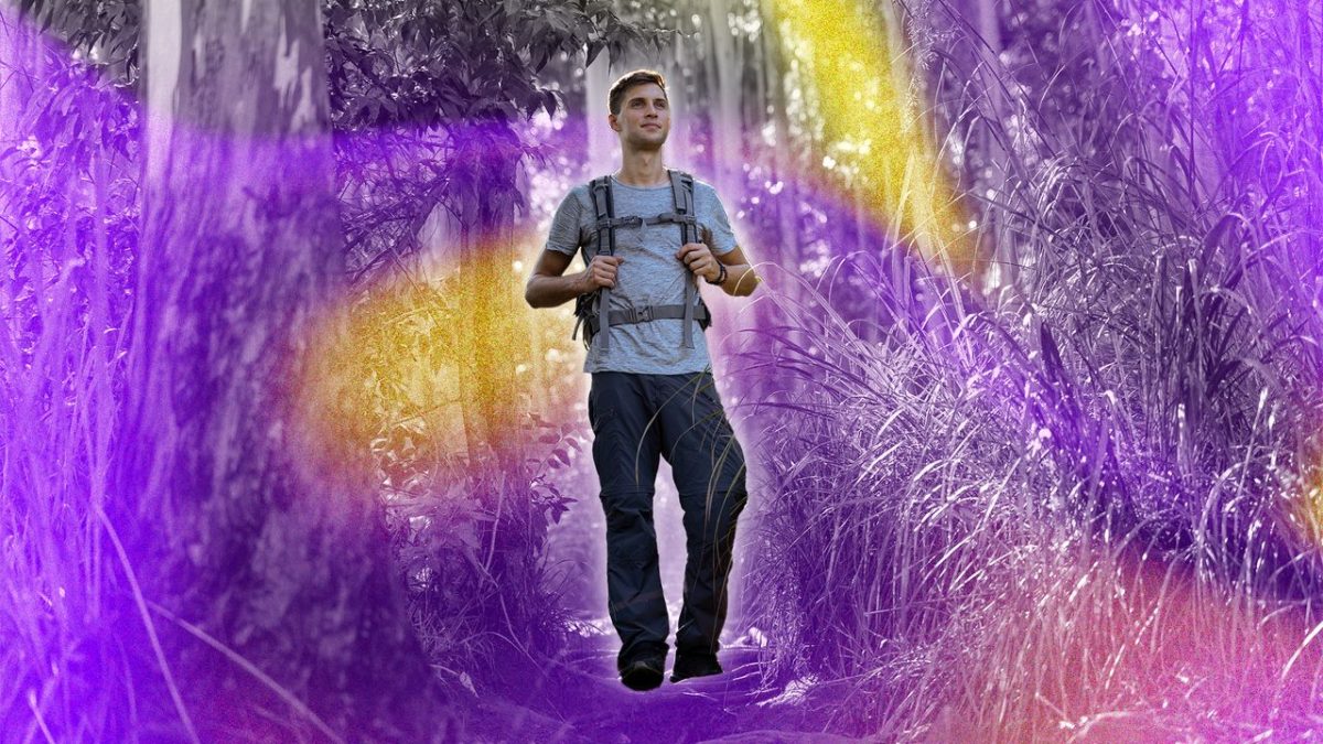 Can Walking Increase Muscle and Reduce Fat, or Is It One of These?