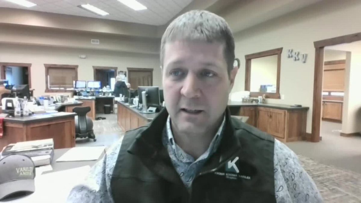 Cattle Futures Surge on Significant Cash Increase, but Will the Momentum Continue? Grains Remain Steady