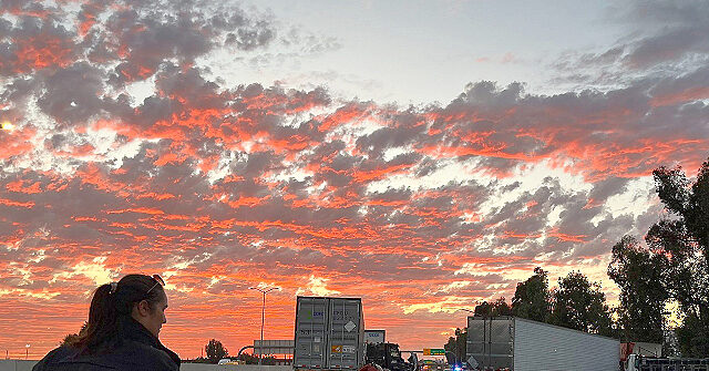 Central Point for Unlawful CDL Licensing — Safety Emergency Sparks Federal Outrage