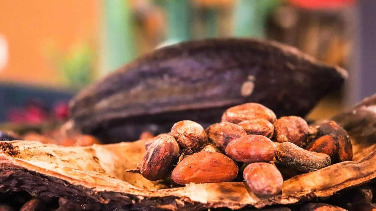 Cocoa Prices Rise Significantly Due to Lower Global Surplus and Inclusion in Commodity Index