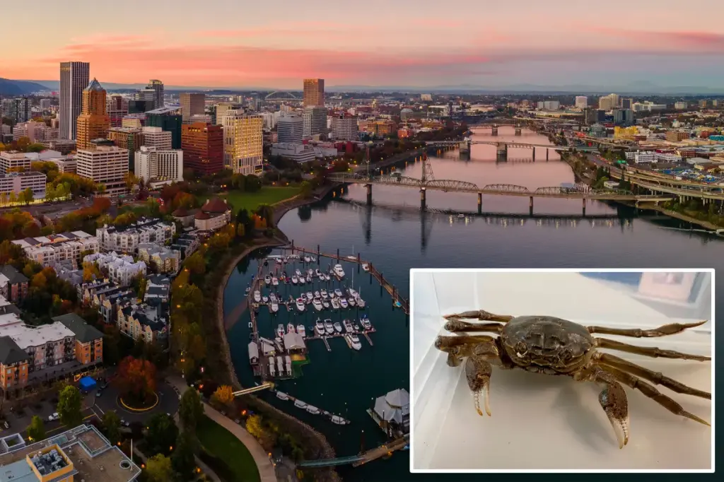 Concerns for wildlife biologists as invasive Chinese mitten crab is seen in Oregon river