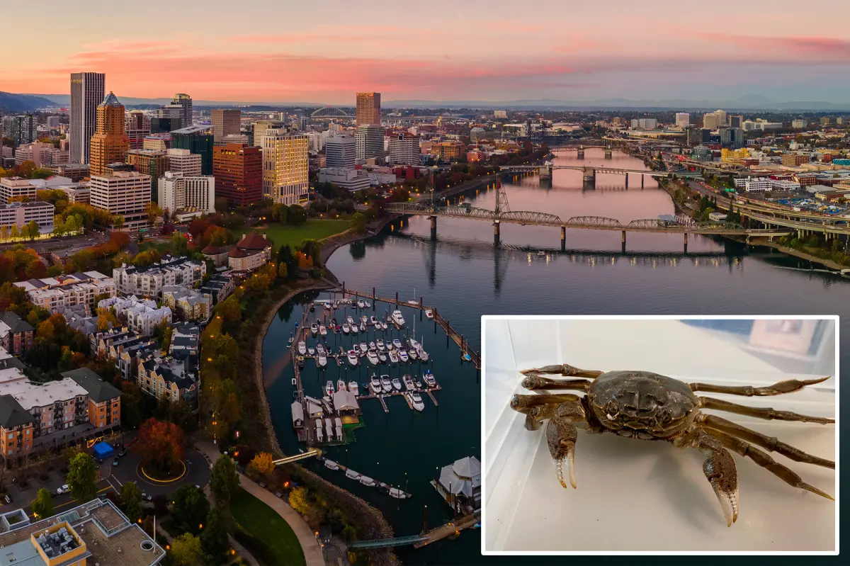 Concerns for wildlife biologists as invasive Chinese mitten crab is seen in Oregon river