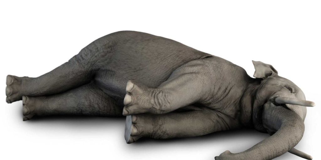 Conservatives must decide in '26: change or downfall