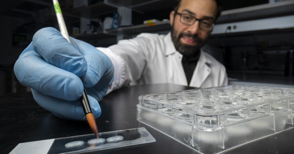 Could altering memories someday aid in treating PTSD, depression, and dementia?