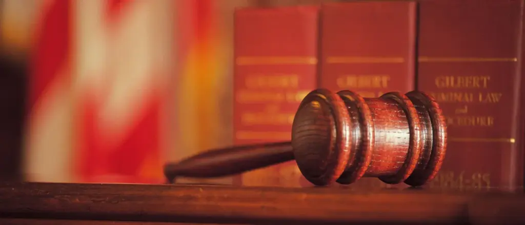 DANIEL MCCARTHY: &lsquo;Iryna&rsquo;s Law&rsquo; and the Flawed Judges That Require It