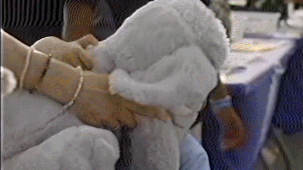 DHS provides $1,000 incentive for undocumented immigrants to leave voluntarily using an app