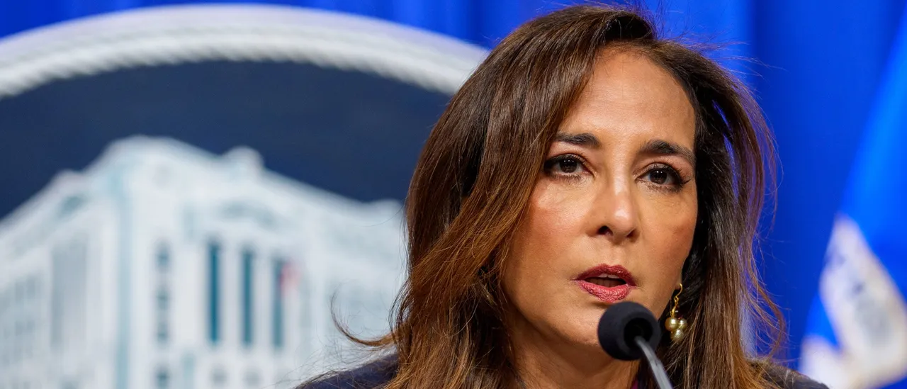 DOJ Lawyer Harmeet Dhillon Labels 'Conservative' Influencers as 'Hoes' Over 'Nonsense Attacks' on the President