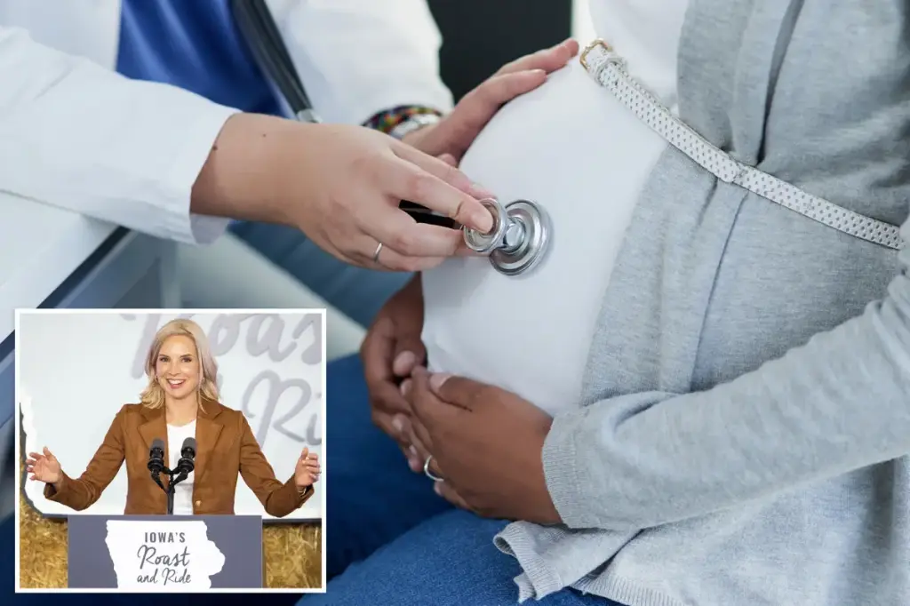 Dads would cover half of pregnancy costs under a bill suggested by an Iowa Republican lawmaker