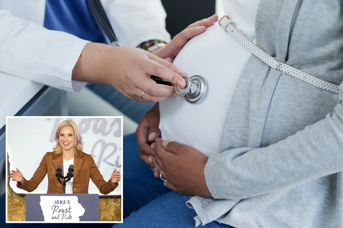 Dads would cover half of pregnancy costs under a bill suggested by an Iowa Republican lawmaker