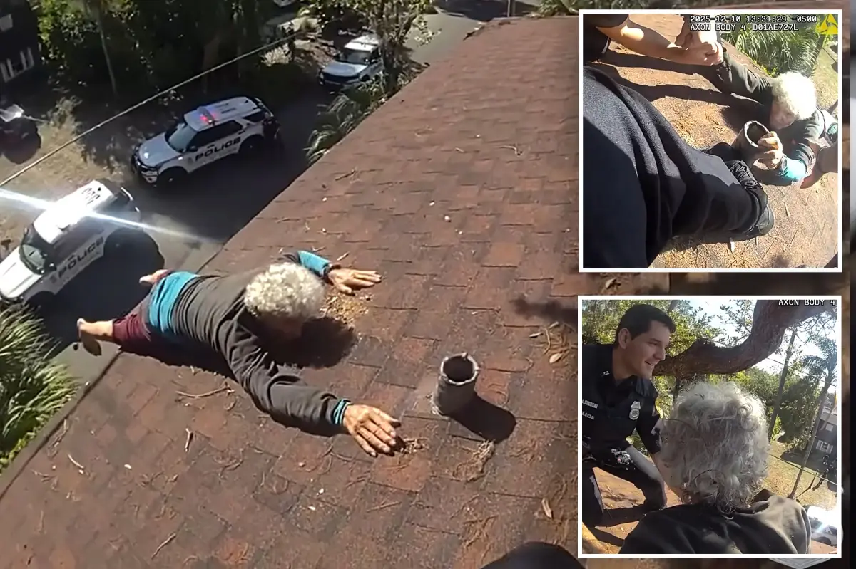 Elderly man in Florida saved by police after falling while clearing leaves from his roof: video