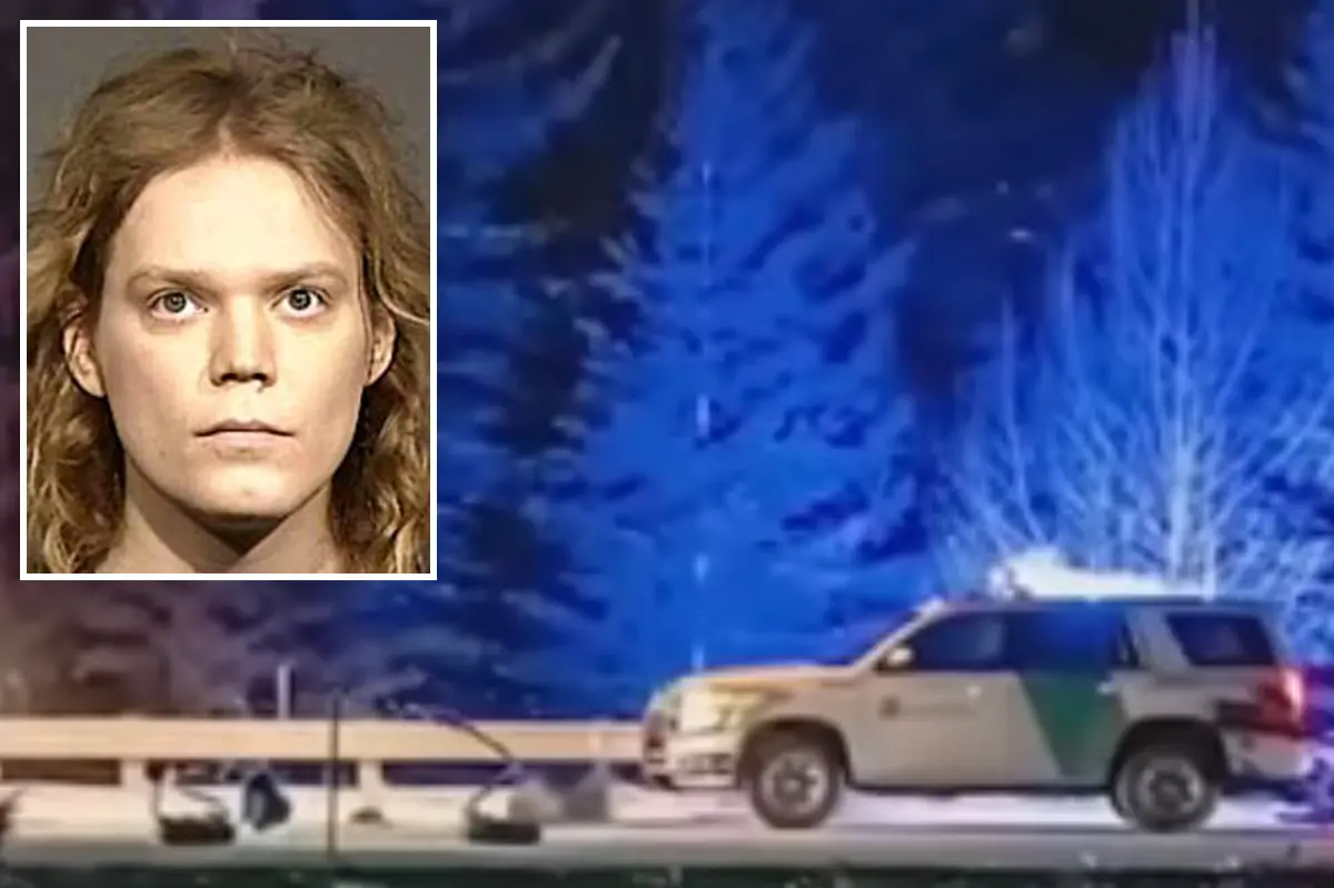 Extremist Zizian vegans linked to a suspected deadly cult similar to Charles Manson disrupt court proceedings