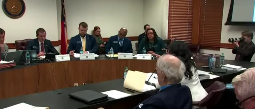 Fani Willis Breaks Down While Claiming Georgia State Senators Are 'Trying To Intimidate' Her