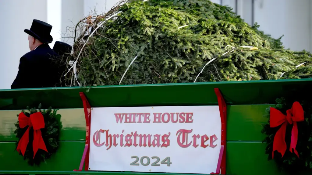 Festive decor and traditions: The politics of White House holiday decorations