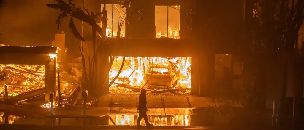 Fire Captain in Los Angeles Allegedly Focused on Protecting Endangered Plants Instead of Containing Fire