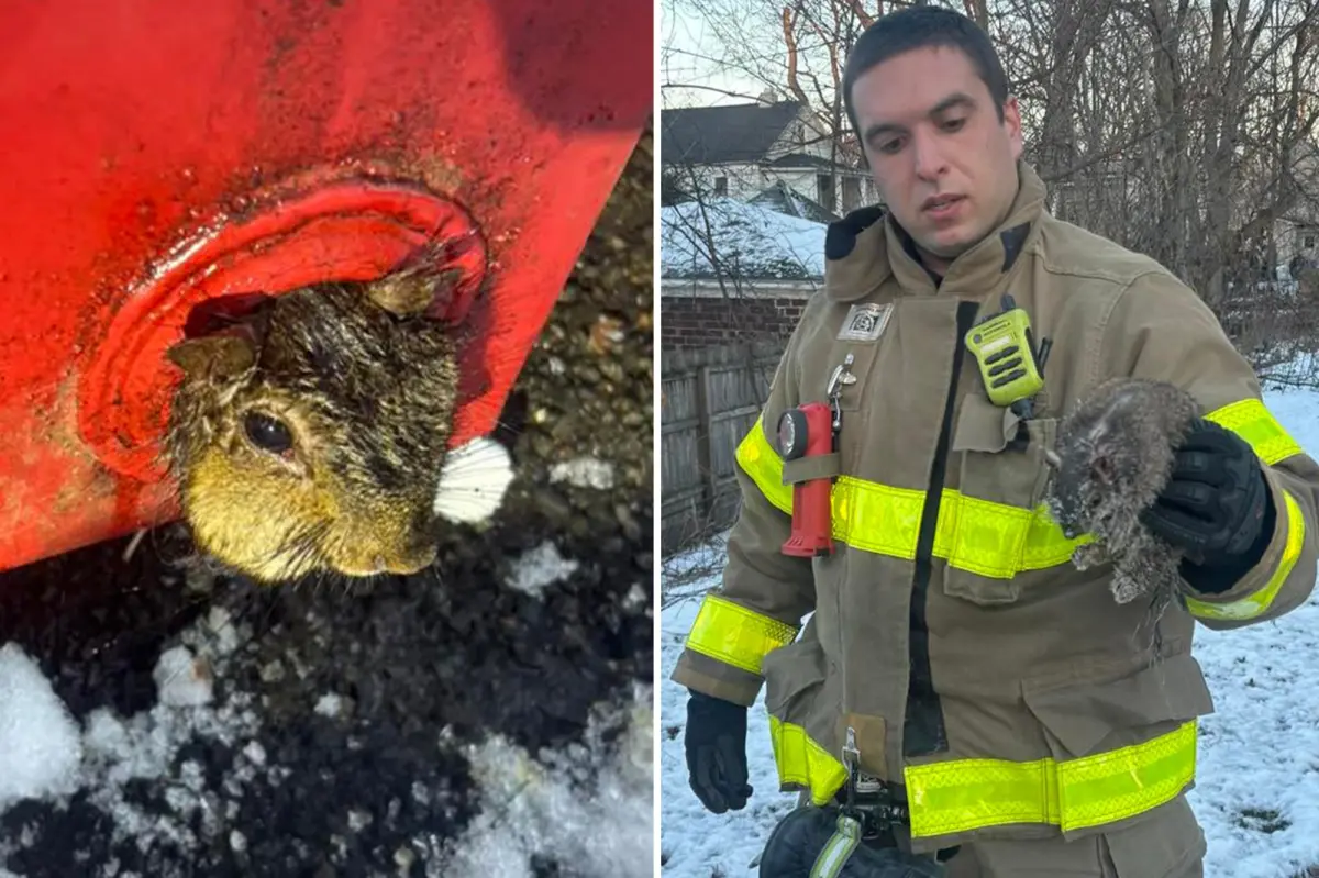 Firefighters in Upstate NY save squirrel stuck in dumpster on Christmas Eve