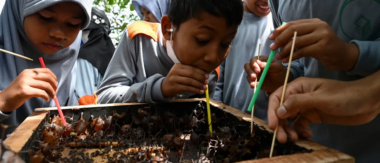 Foreign governments chose to grant rights to bees.