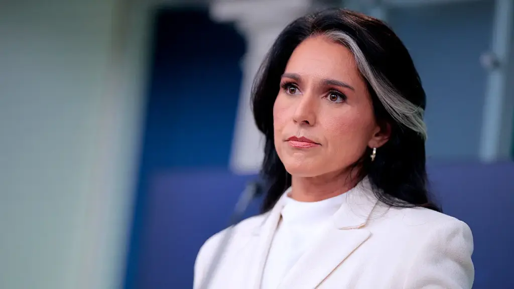 Gabbard cautions about the risk of terrorism from 18,000 potential suspects in the US