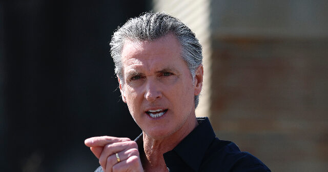 Gavin Newsom Responds Strongly After Halle Berry Suggests He 'Should Not Be the Next President'