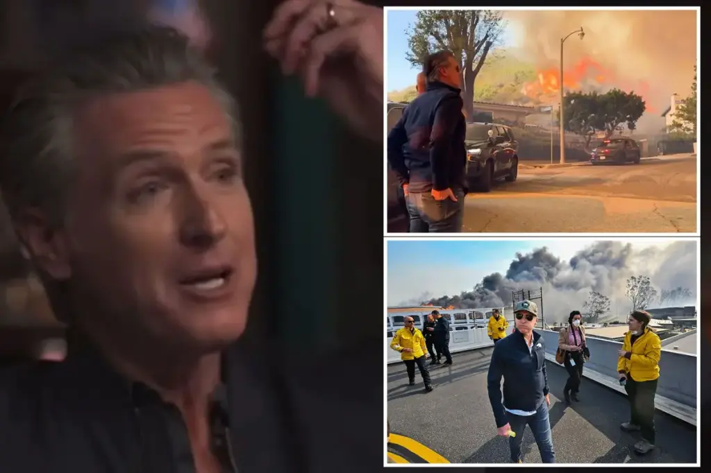 Gavin Newsom stated his hair was set on fire during the Palisades fire.