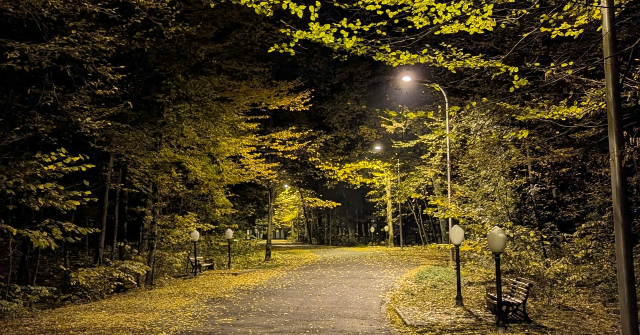 Georgia Woman Victimized in Terrible 'Acid Attack' at Savannah Park