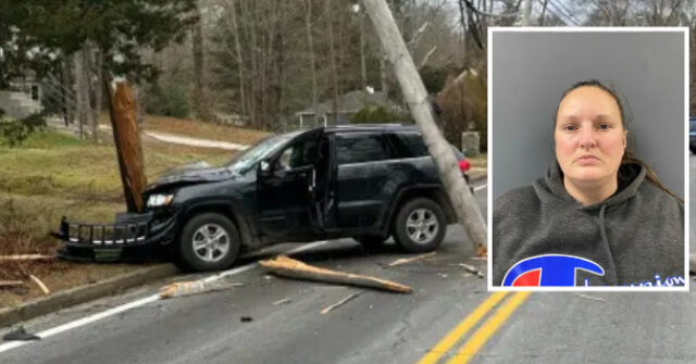 Grammy Nominated Musician Roderick MacLeod Fatally Struck by Driver with Over 100 Arrests