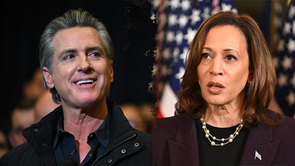 Harris and Newsom spark 2028 discussions at Democratic Party gathering