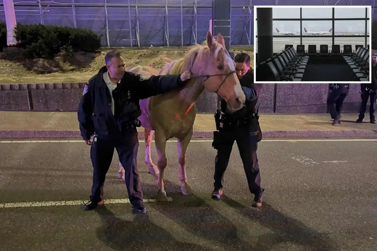 Horse named Sundance bolts down roads close to JFK Airport before being safely caught: dramatic video