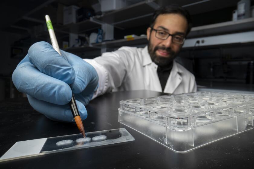 How altering memories in the laboratory could potentially restore health to people