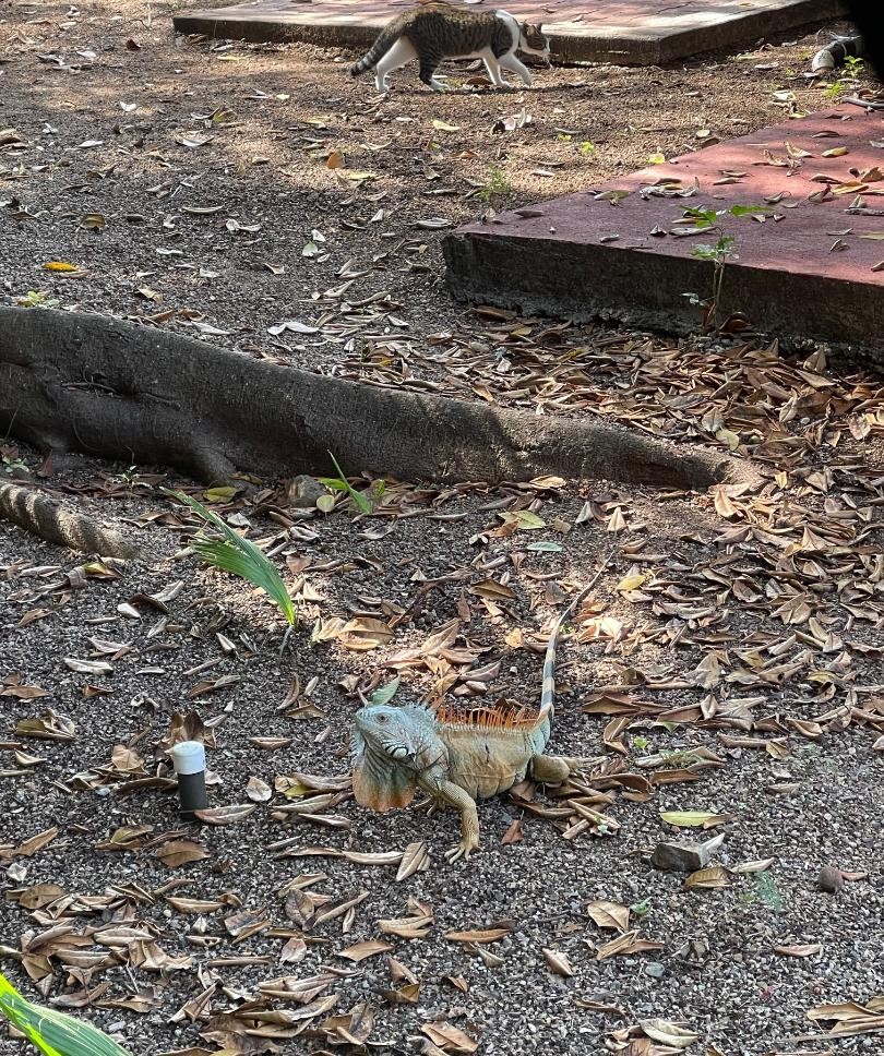 How much worse could it become? - Garth Turner