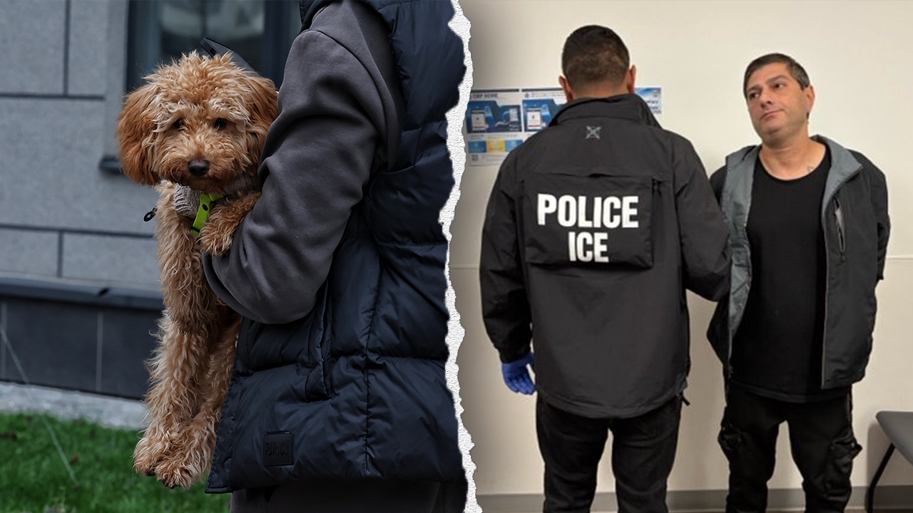 ICE detains undocumented immigrant from Azerbaijan with several convictions