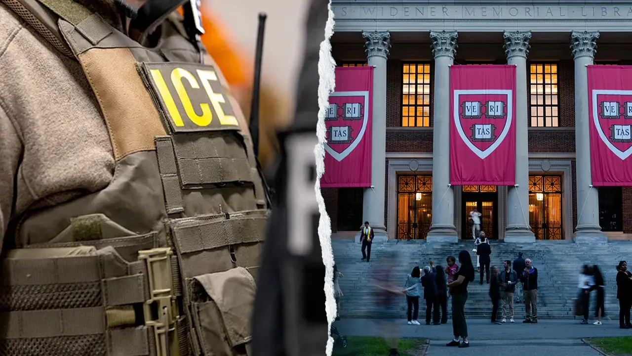 ICE takes into custody Harvard professor linked to BB gun incident, consents to leave the US