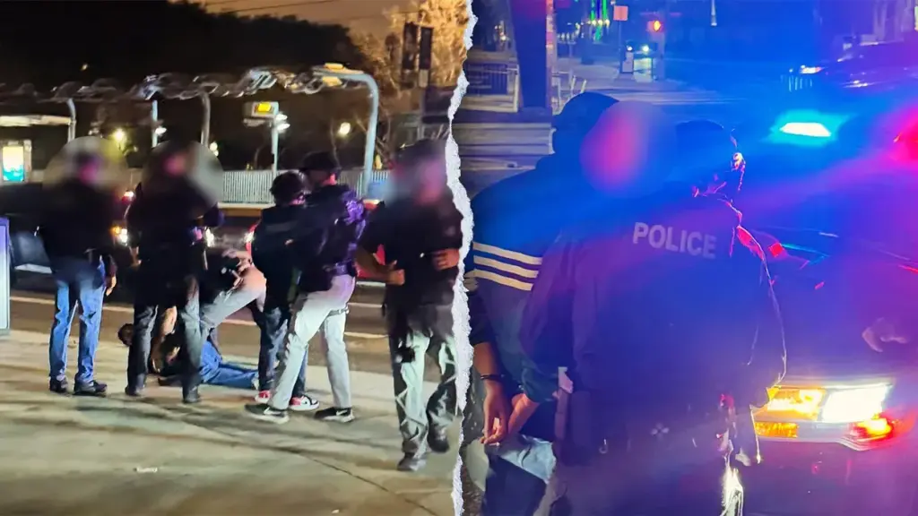 Images capture the moment Nick Reiner was taken into custody for his parents' murder.