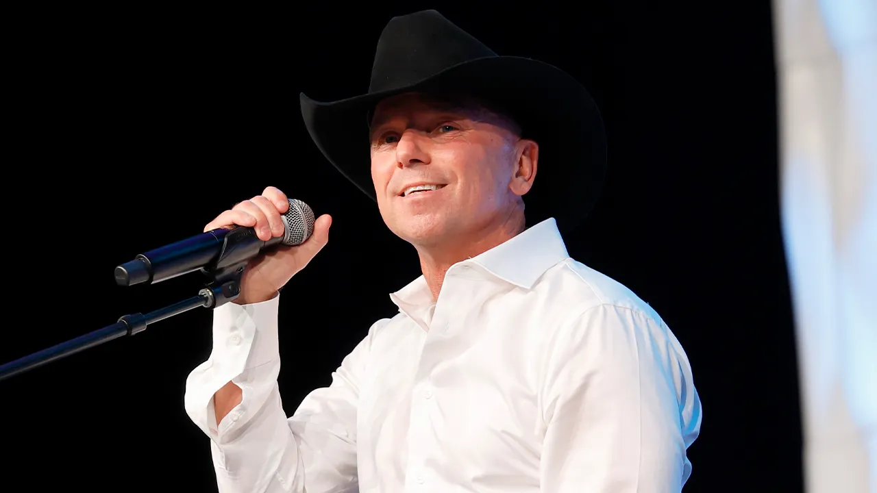 Kenny Chesney acknowledges that he lost control and hit a fan at his concert.