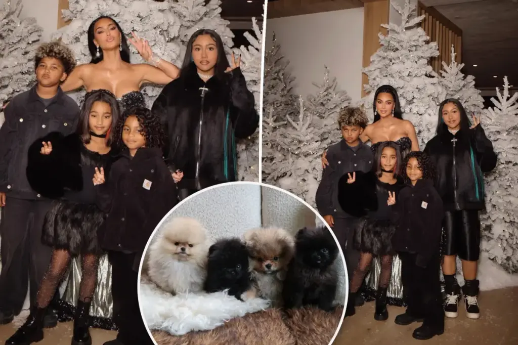 Kim Kardashian criticized by PETA for giving her kids four dogs for Christmas: 'Puppies are not toys'